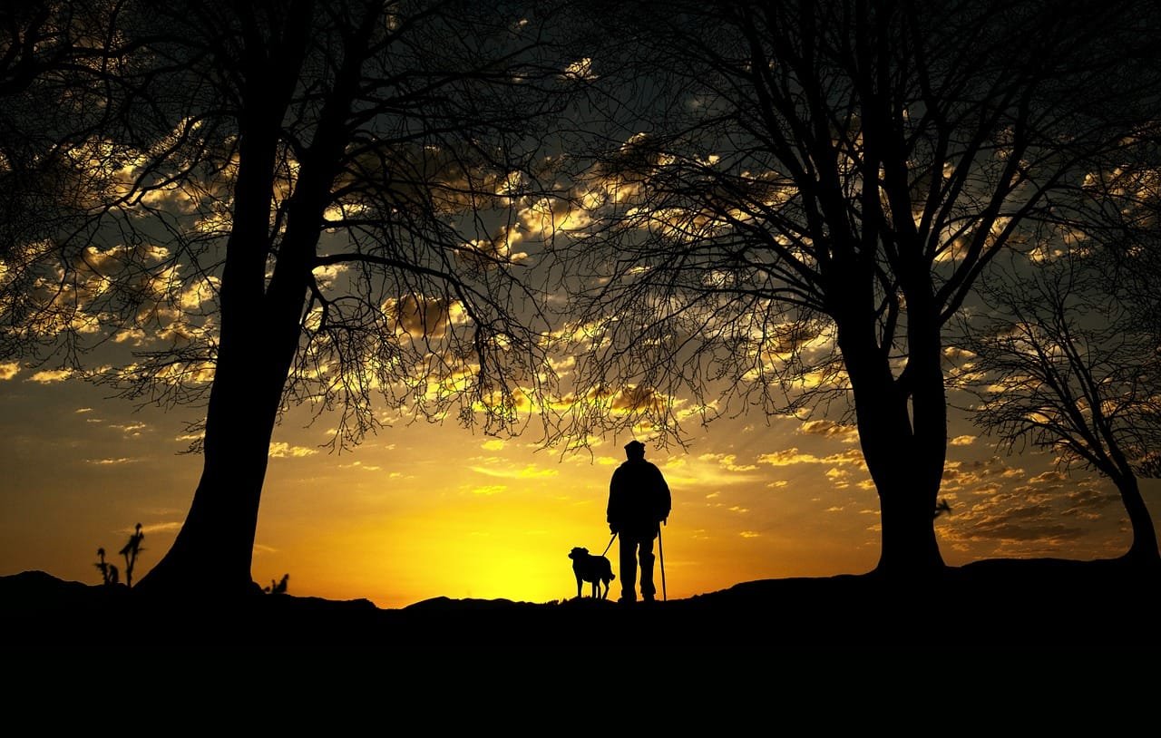 safely taking your dog on hiking and outdoor adventures 2